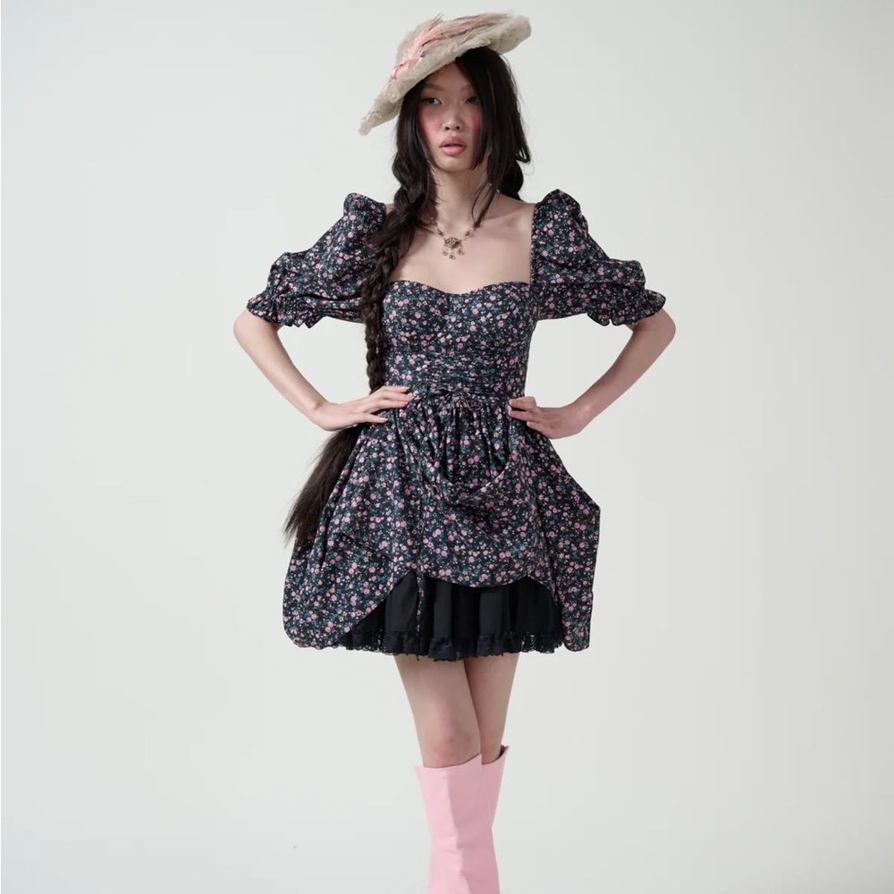 NWOT Selkie Kiera Dress in Garden Song, XS - Picture 4 of 8